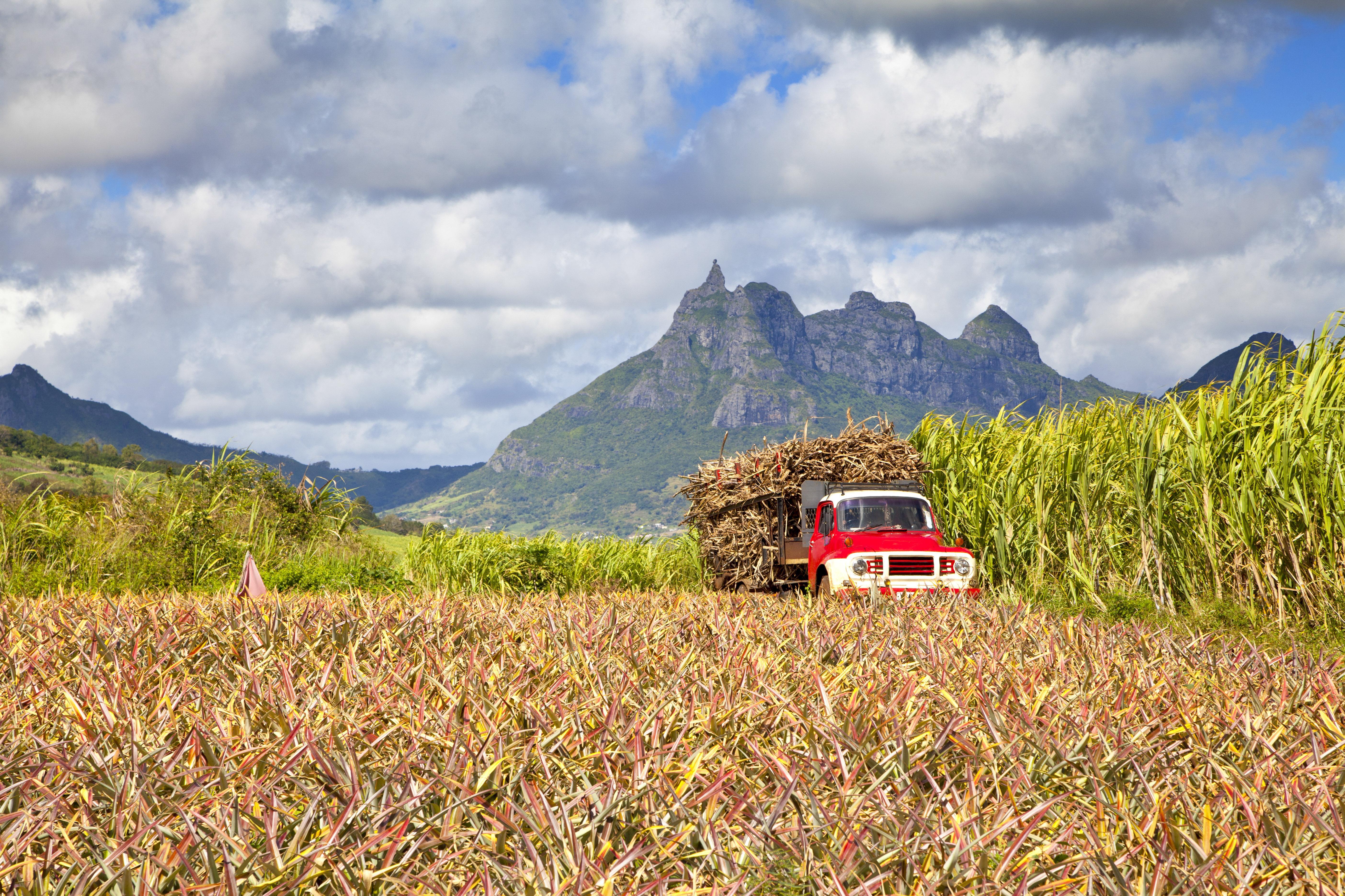Intercontinental Mauritius By Ihg Rezort Balaclava